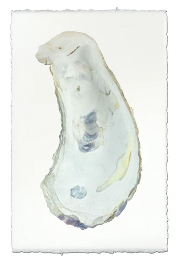 Oyster Study #1 - Champagne on Linen Shadowbox