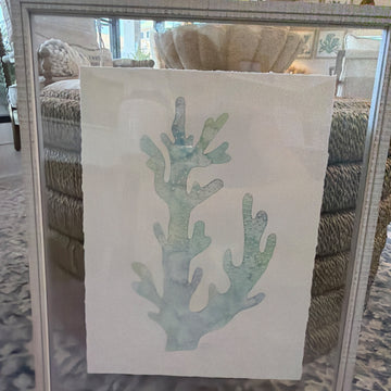 Elkhorn Coral in 17 x 21 Float Frame