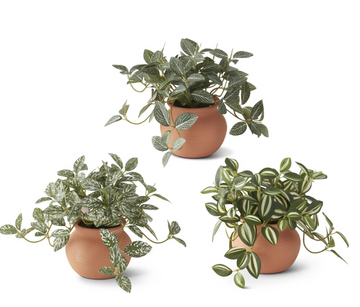 6.5 Inch Ceramic Potted Plant